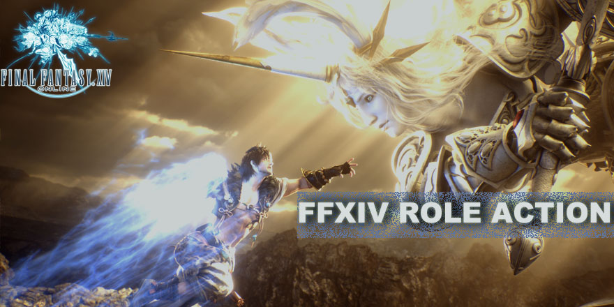 Final Fantasy XIV Basic Information Role Action